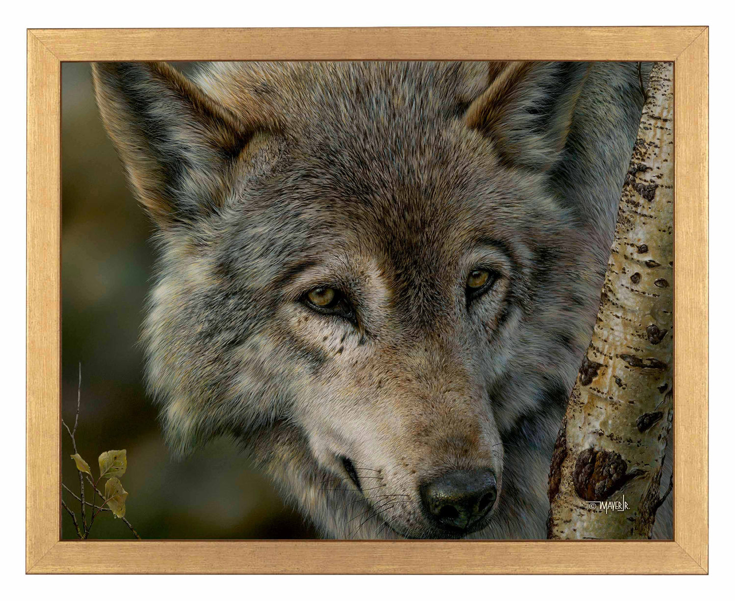 Silver and Gold - Art Prints