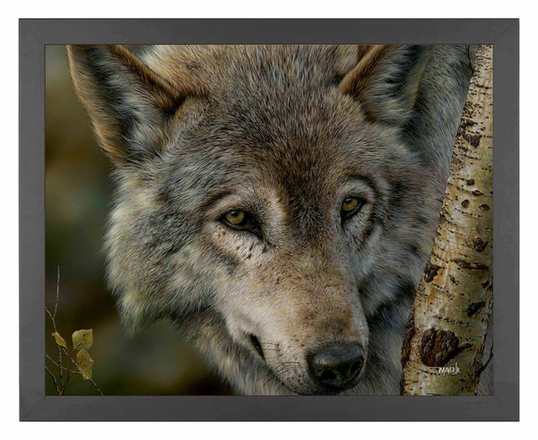 Silver and Gold - Art Prints
