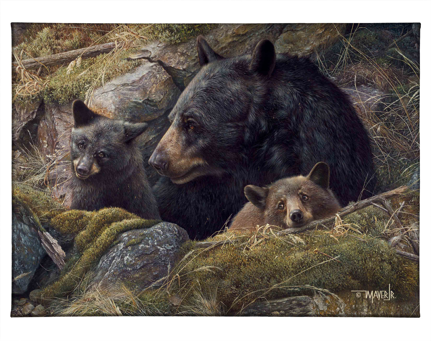 Twice the Love - 13" x 18" Gallery Wrapped Canvas