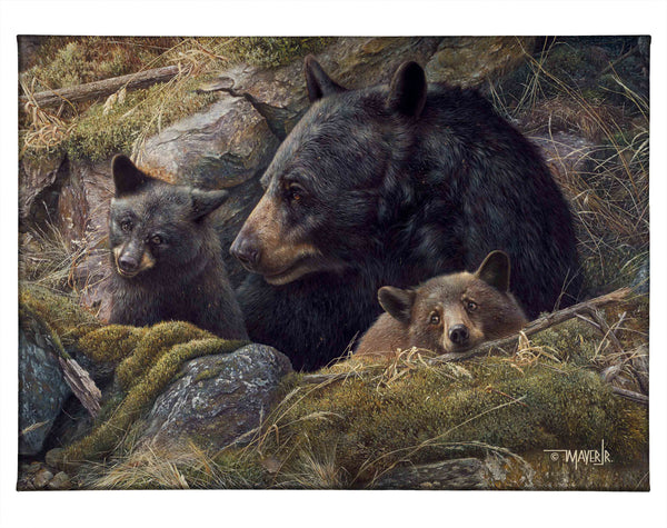 Twice the Love - 13" x 18" Gallery Wrapped Canvas