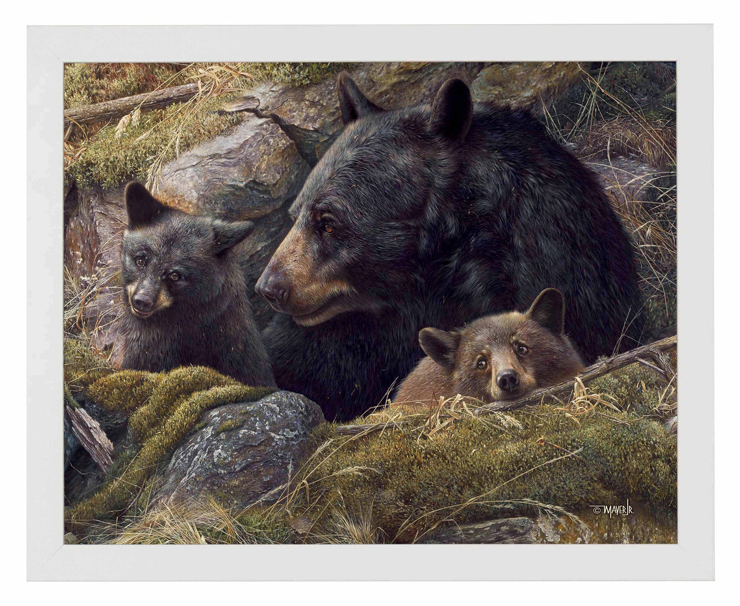 Twice the Love - Art Prints