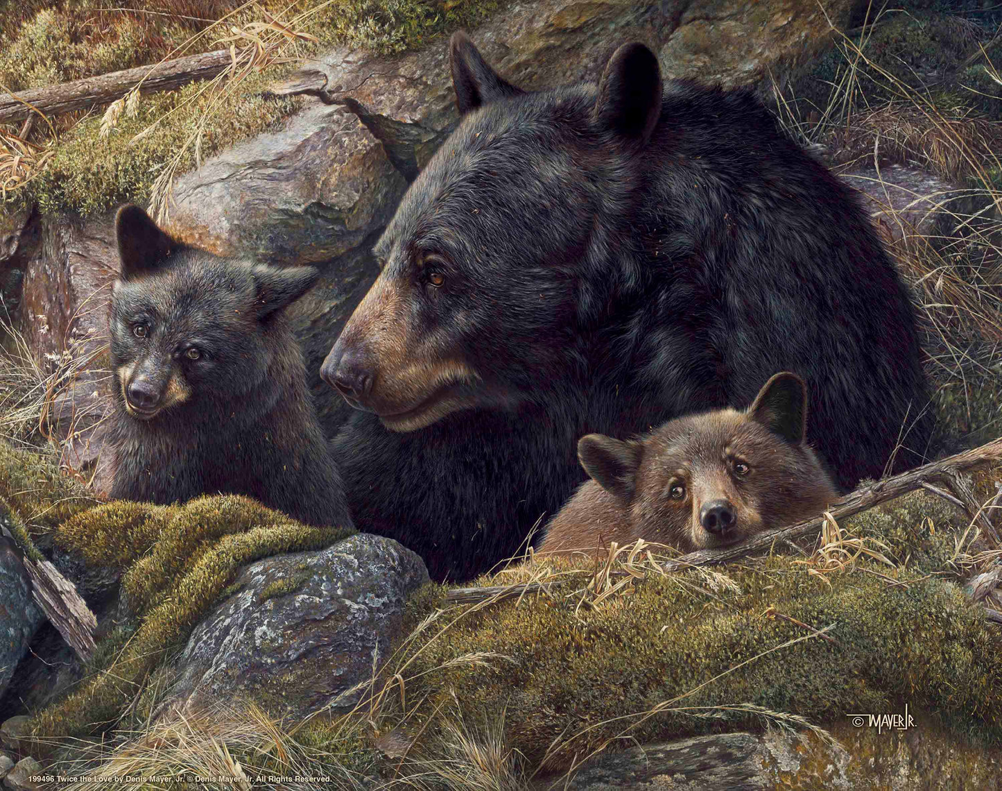 Twice the Love - Art Prints