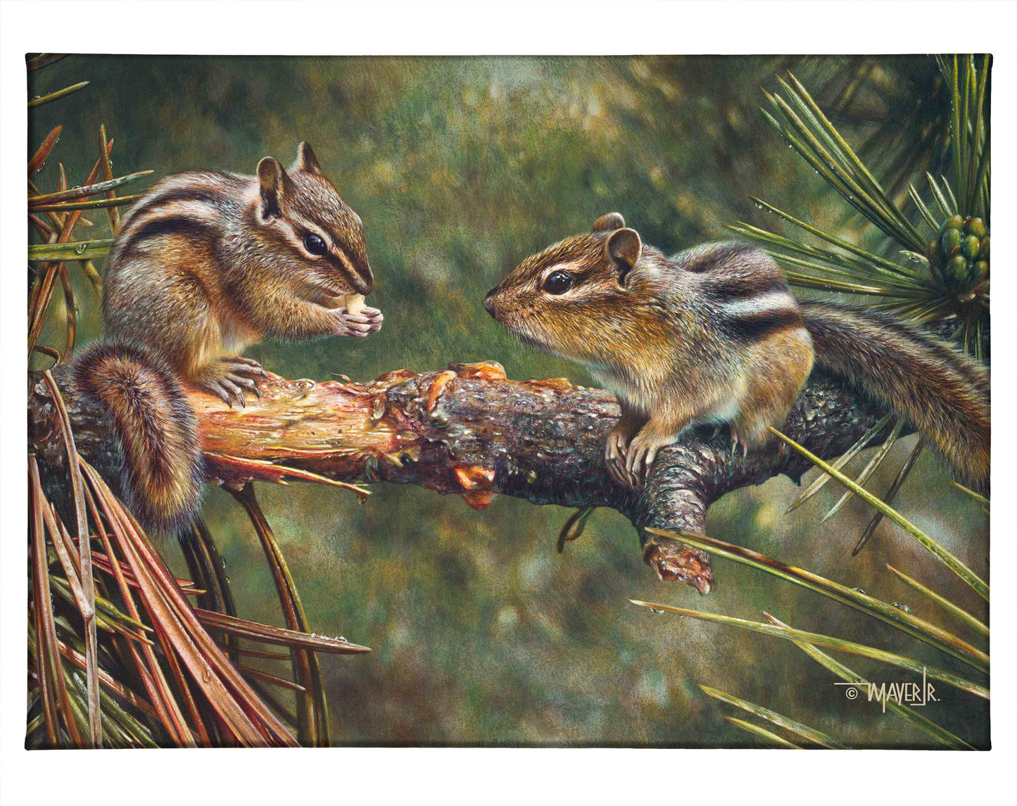 Twin Foragers - 13" x 18" Gallery Wrapped Canvas