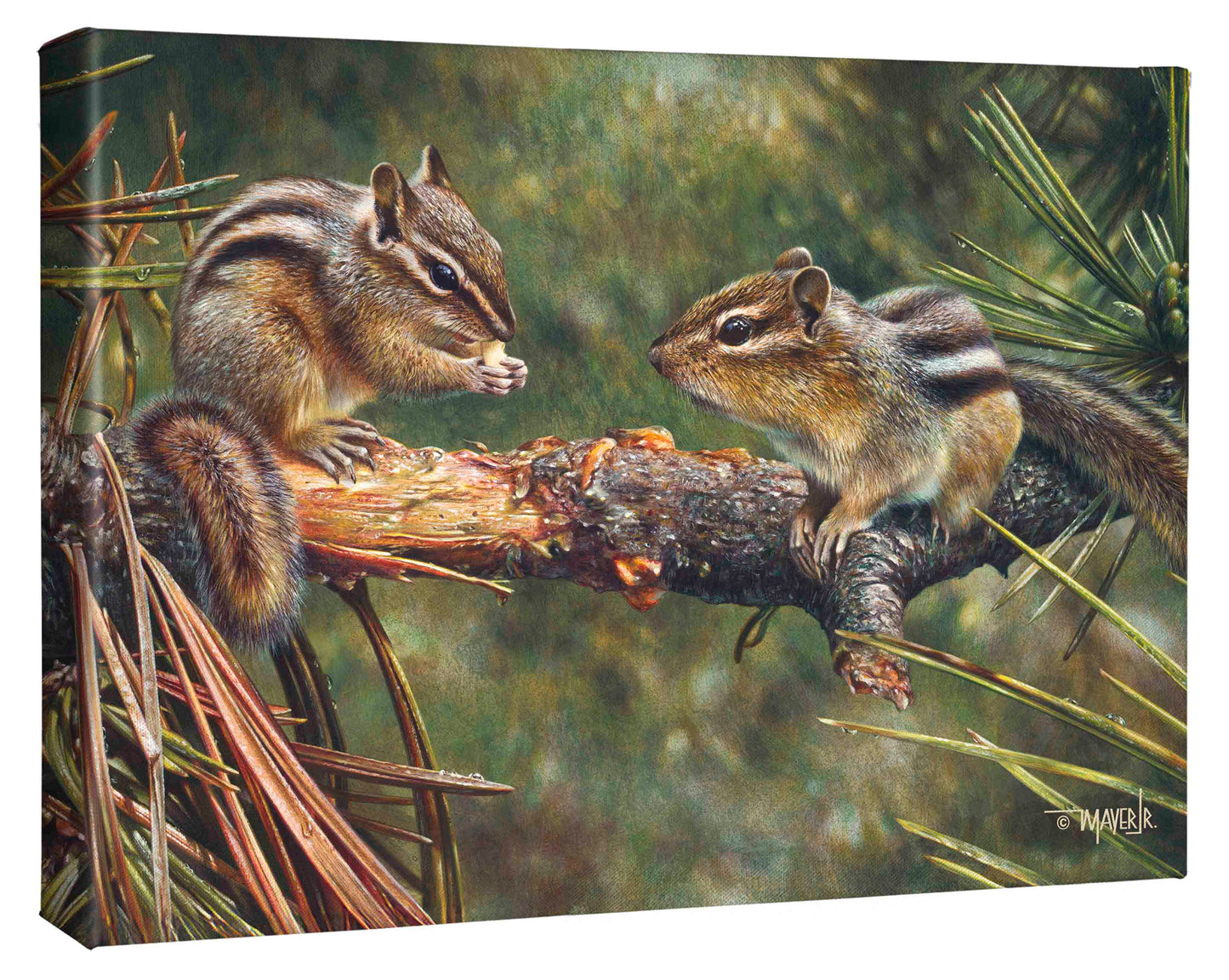 Twin Foragers - 13" x 18" Gallery Wrapped Canvas