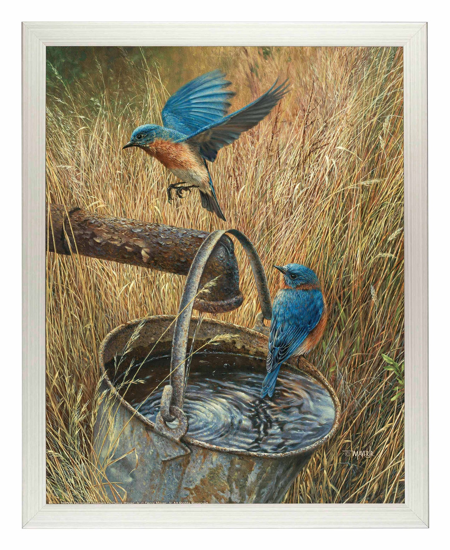 Farmland Dwellers - Art Prints