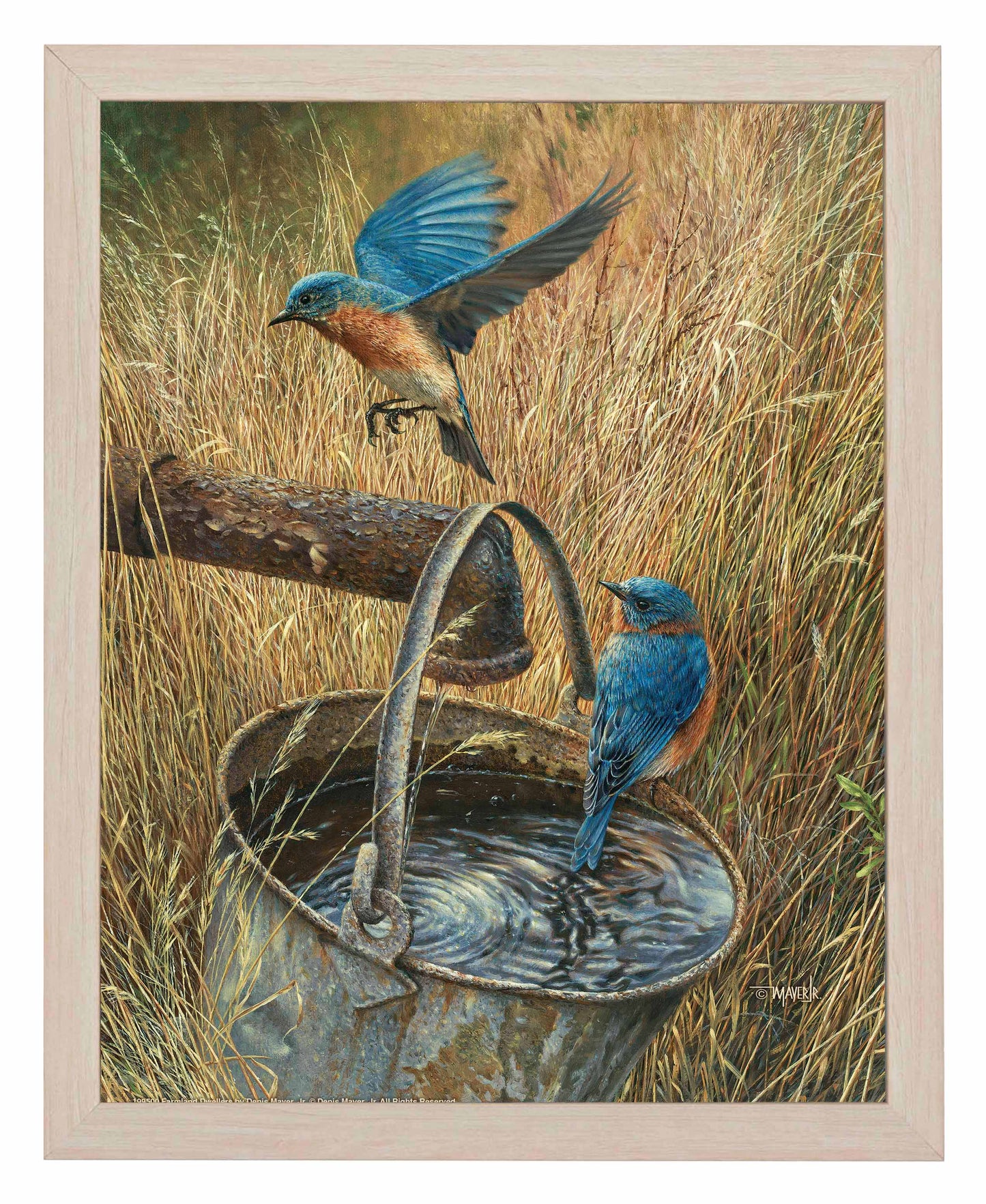 Farmland Dwellers - Art Prints