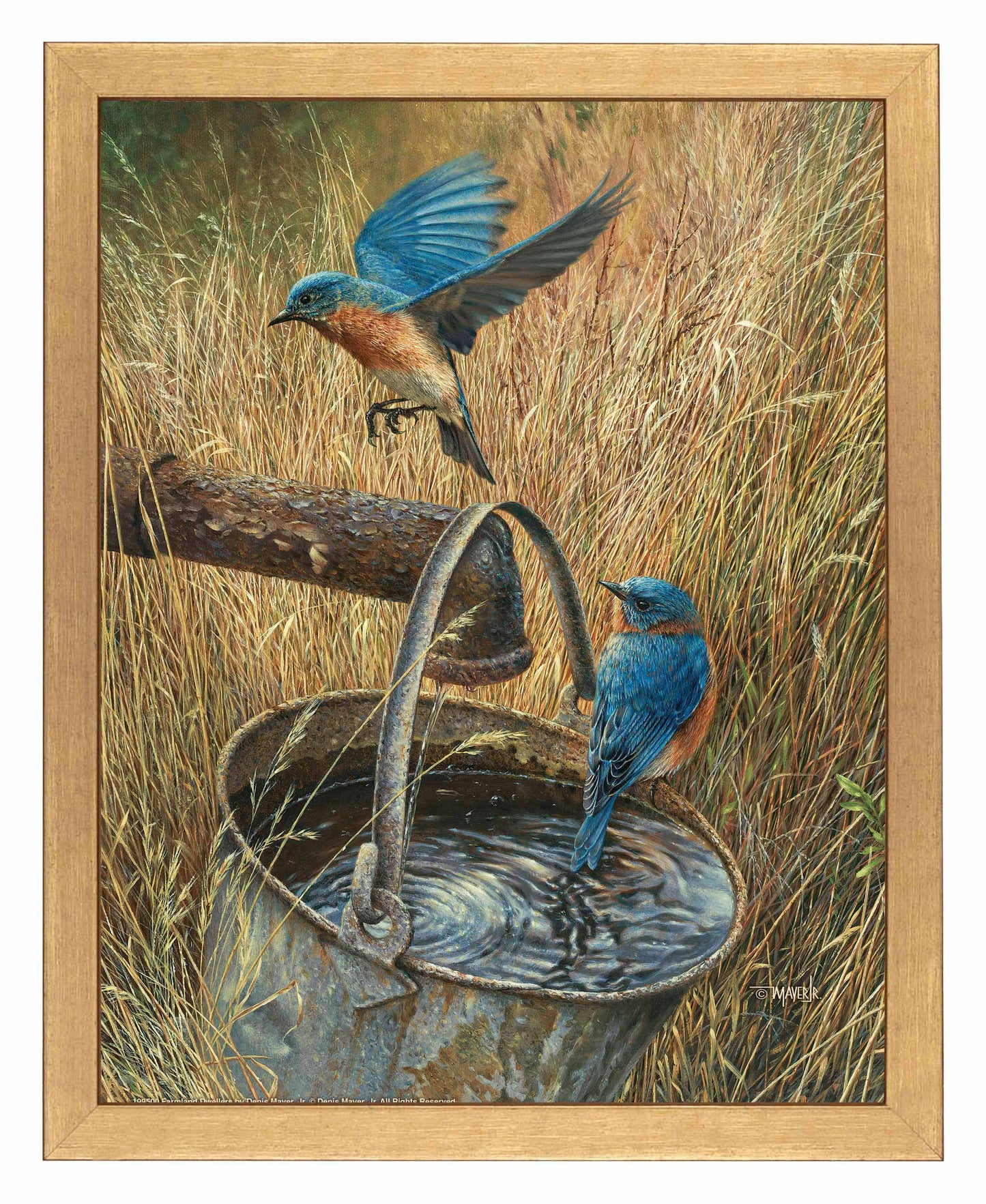 Farmland Dwellers - Art Prints