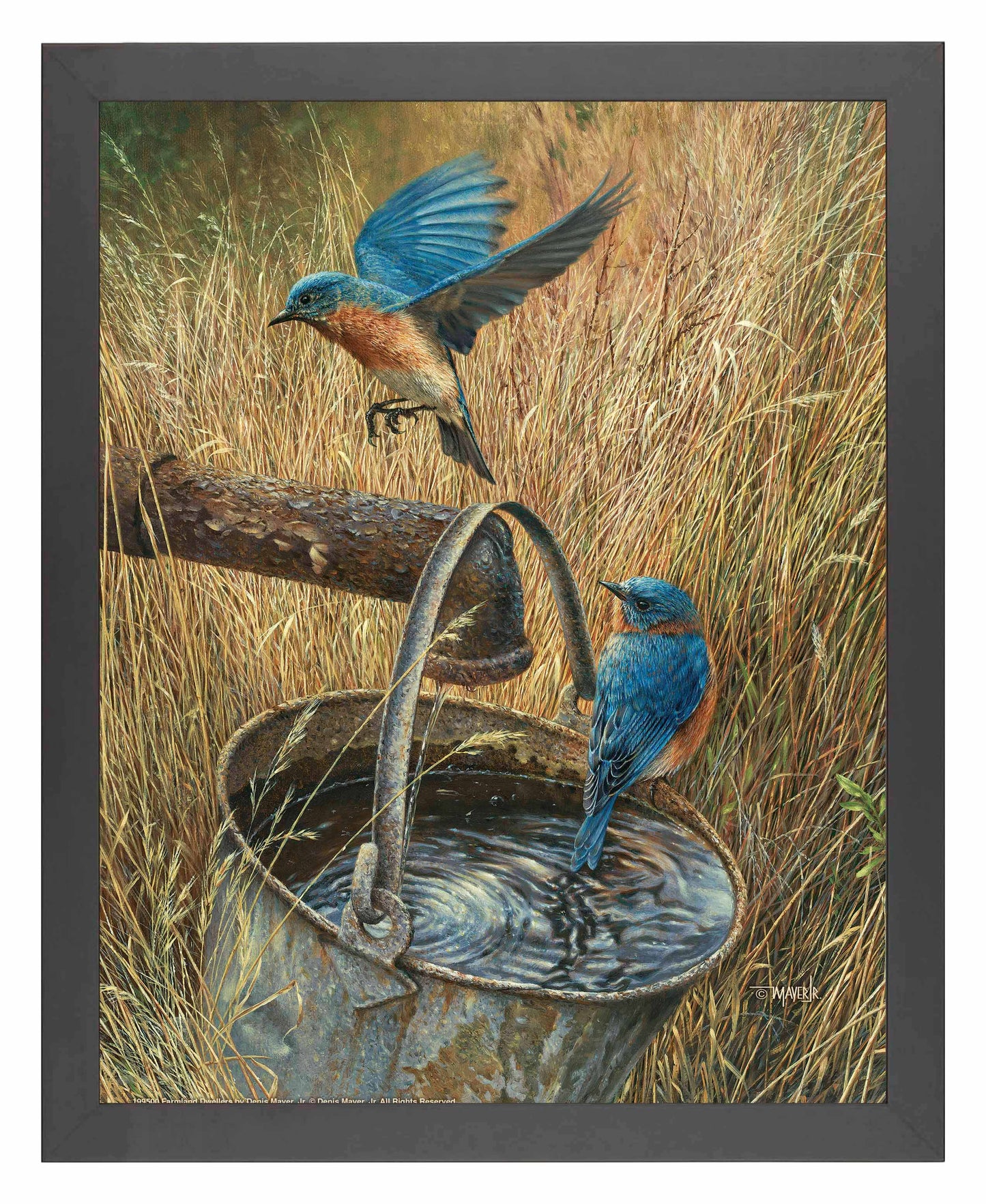 Farmland Dwellers - Art Prints