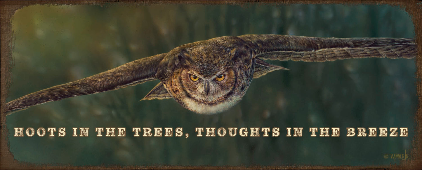 Aerial Intensity - 12" x 30" Wood Sign