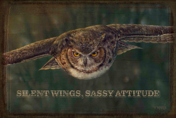 Aerial Intensity - 12" x 18" Wood Sign
