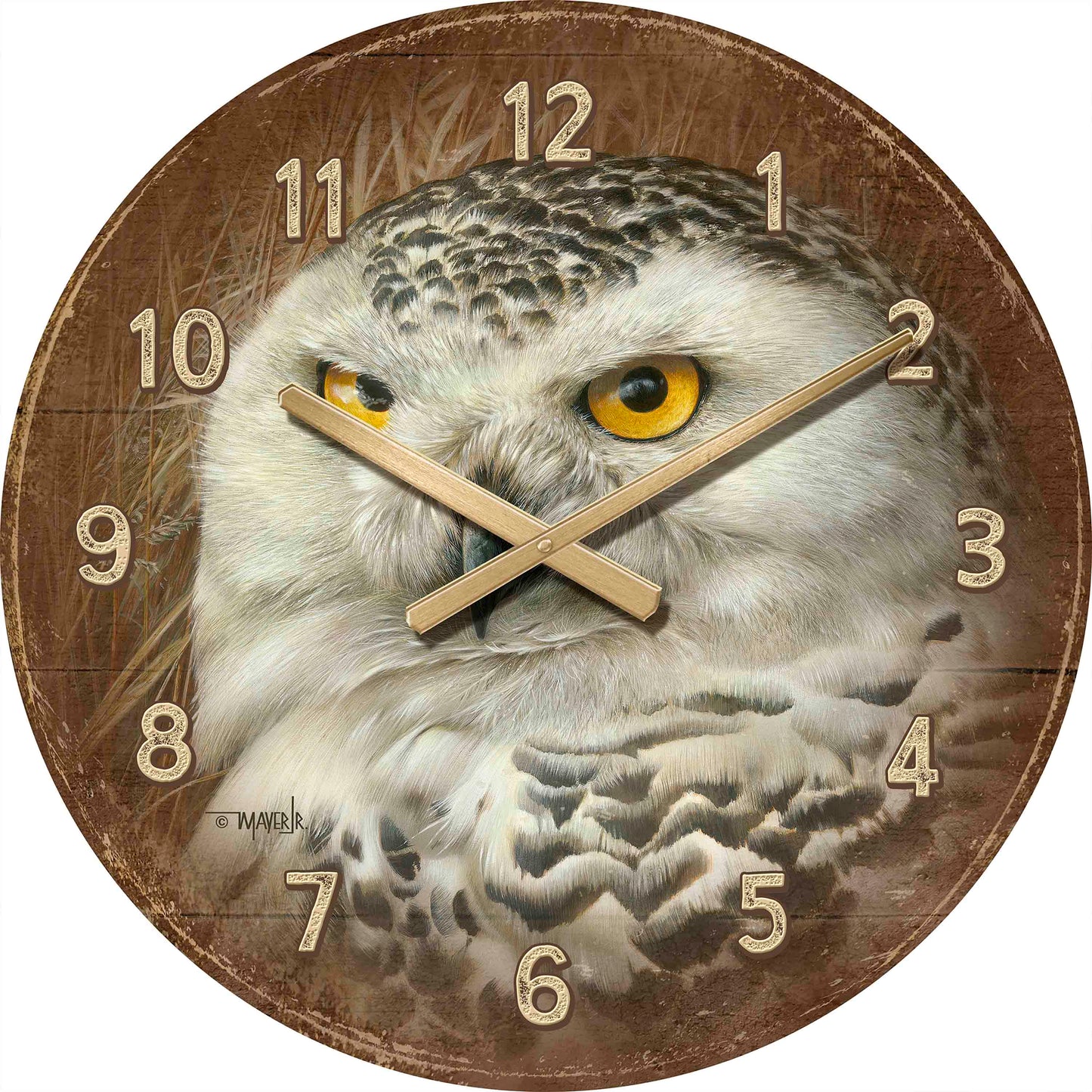 Optical Surveillance - 21" Round Clock