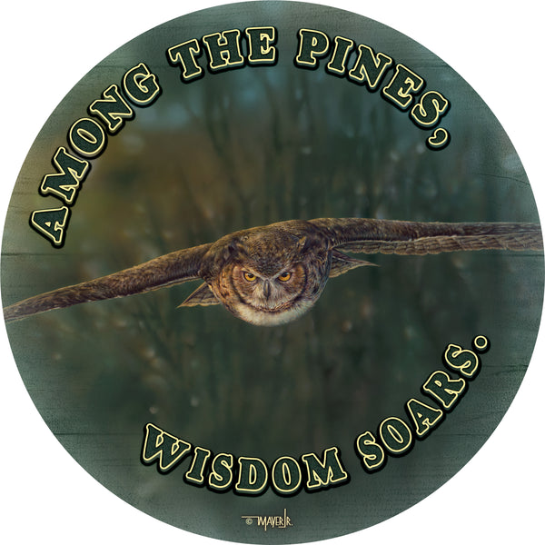 Aerial Intensity - 21" Round Wood Sign
