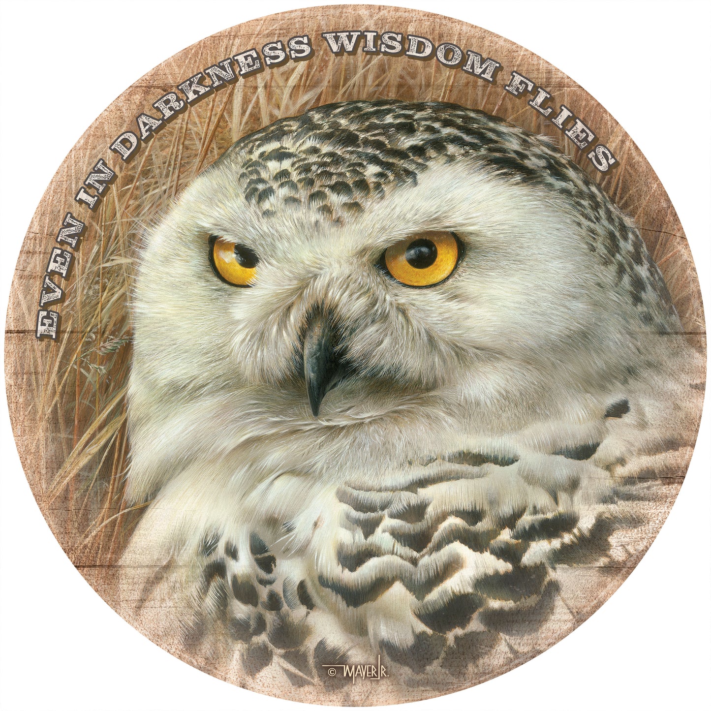 Optical Surveillance - 21" Round Wood Sign