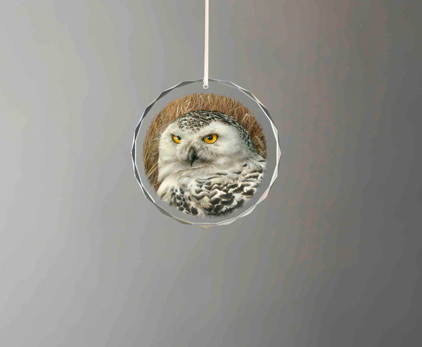 Optical Surveillance -  Round Glass Ornament