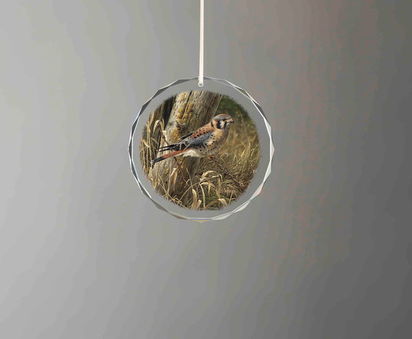 Patience is Rewarding - Round Glass Ornament