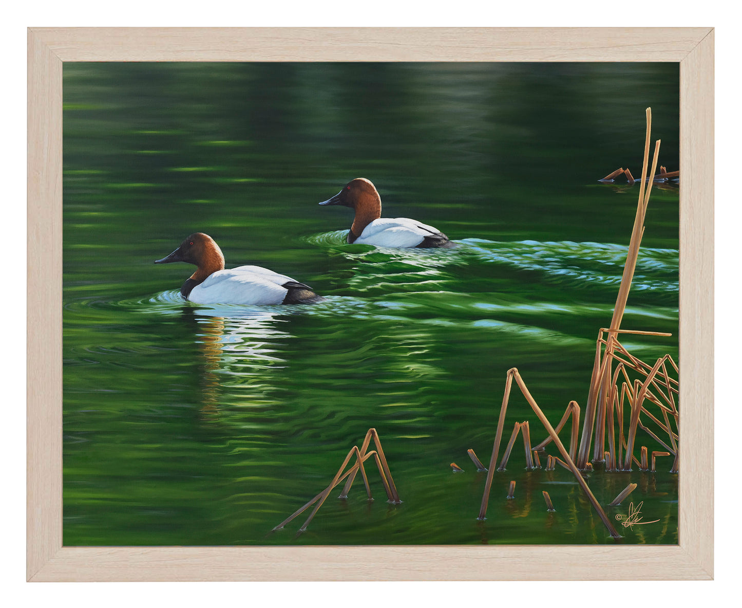 A Beautiful Day - Art Prints