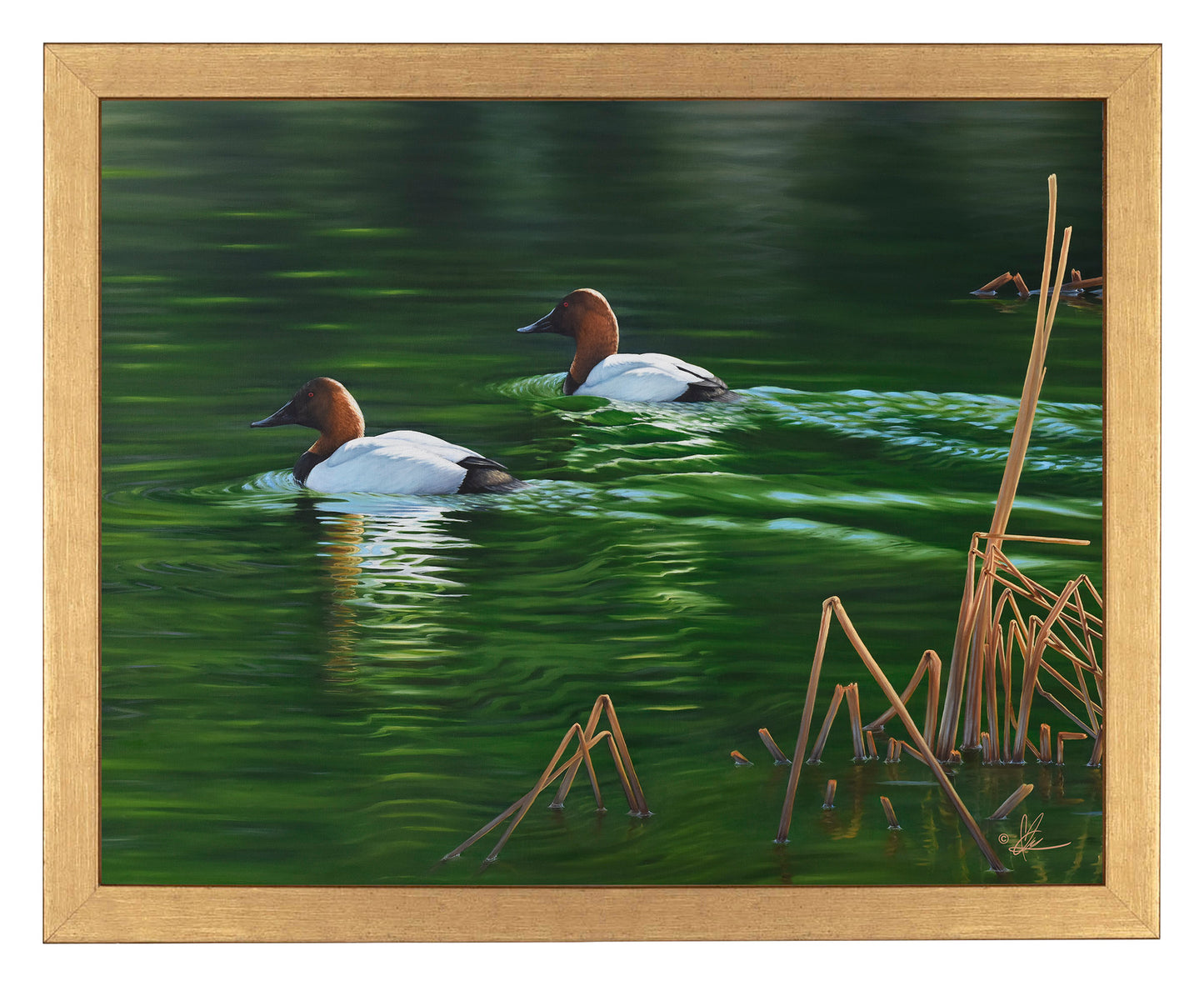 A Beautiful Day - Art Prints