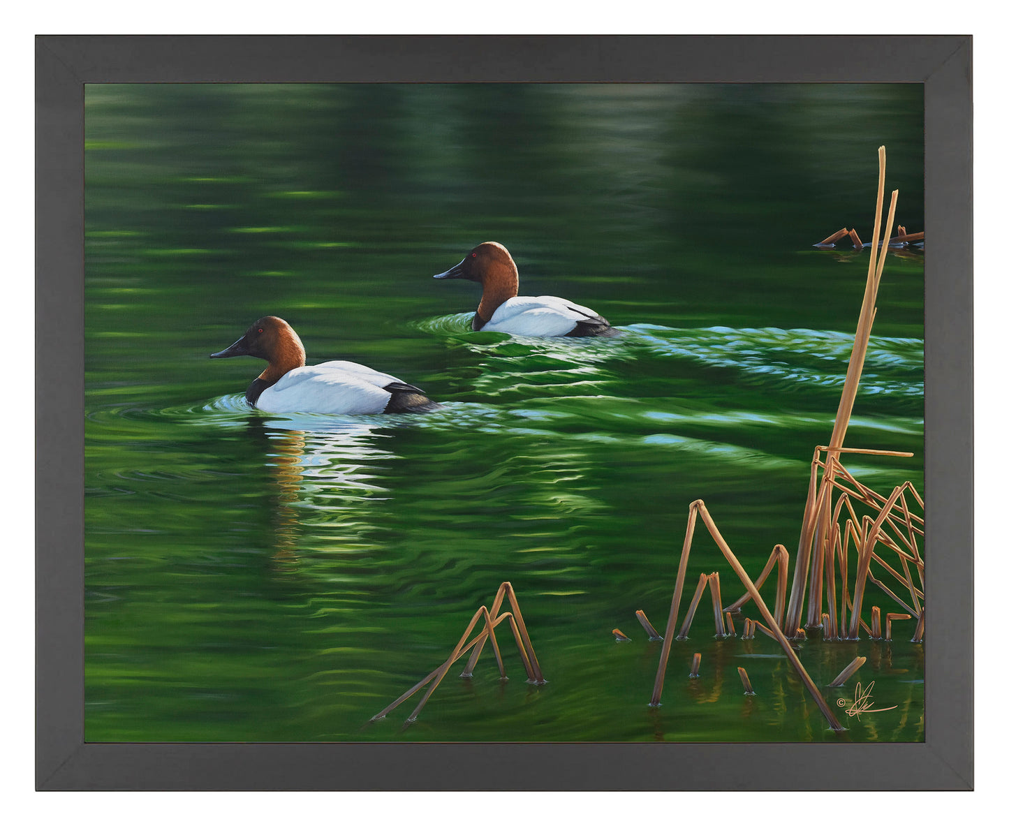 A Beautiful Day - Art Prints