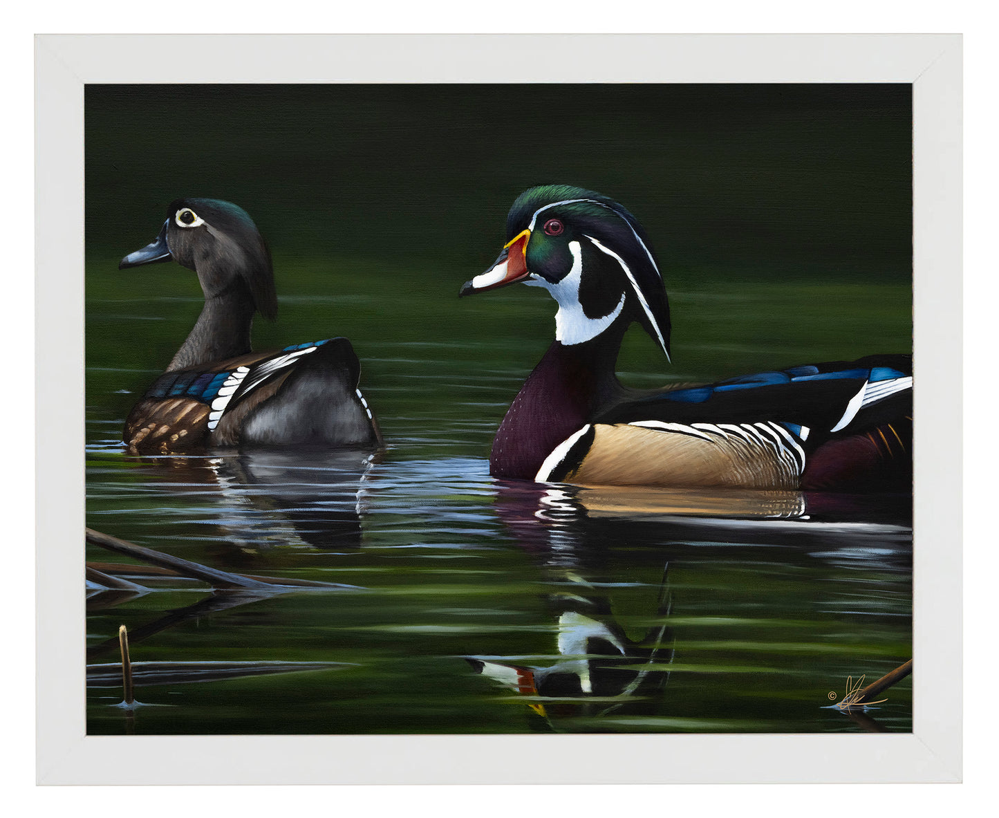 A Day at Bird Haven - Art Prints