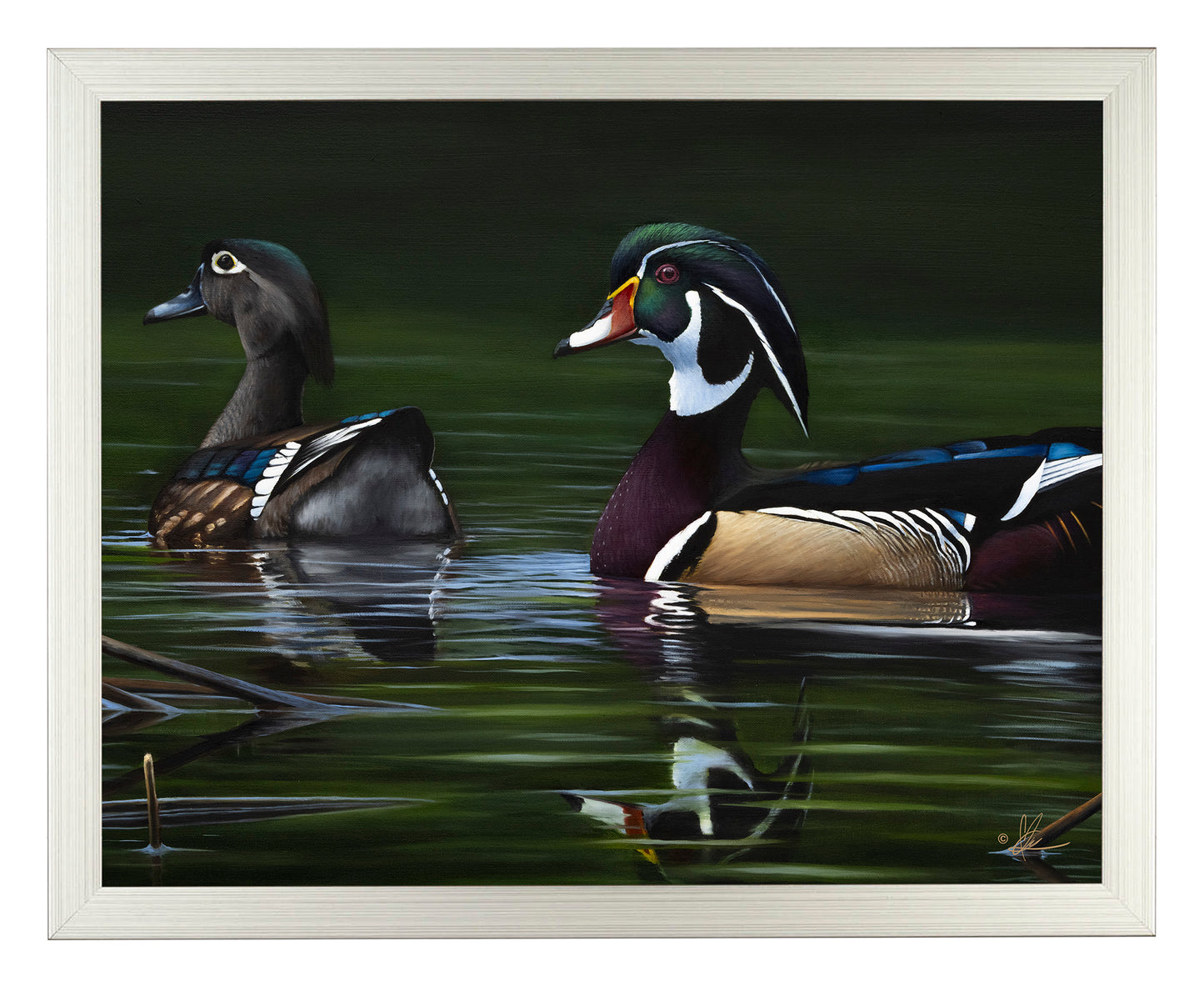 A Day at Bird Haven - Art Prints