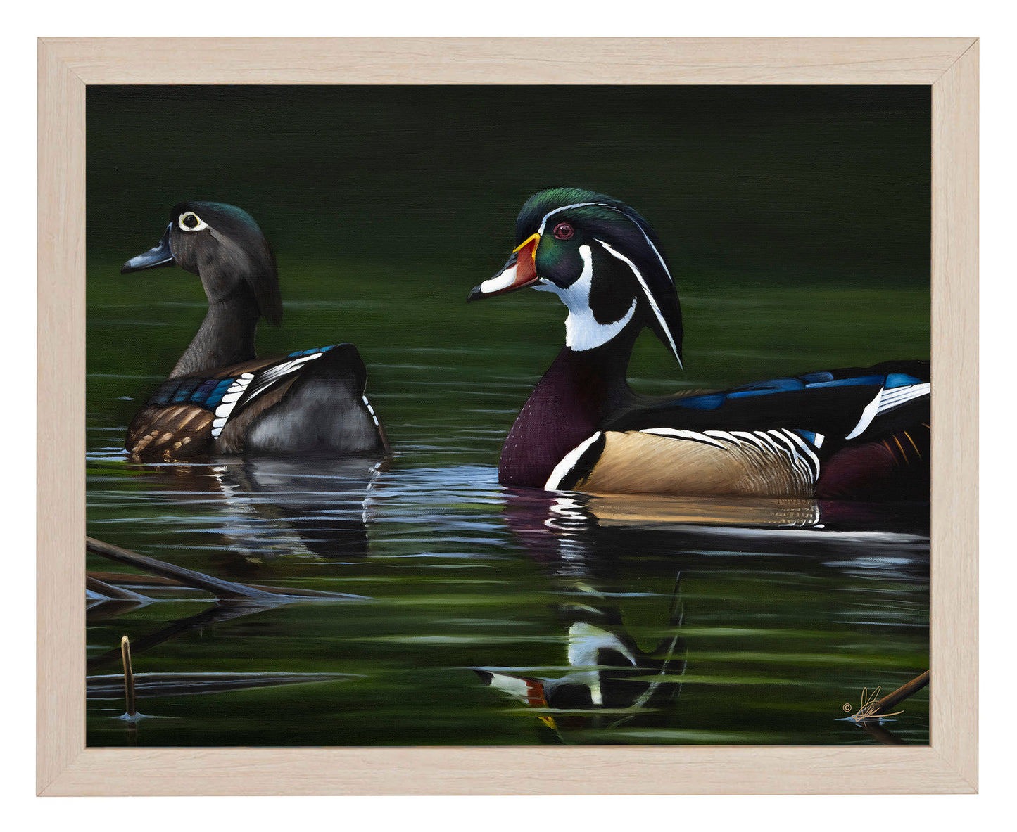 A Day at Bird Haven - Art Prints