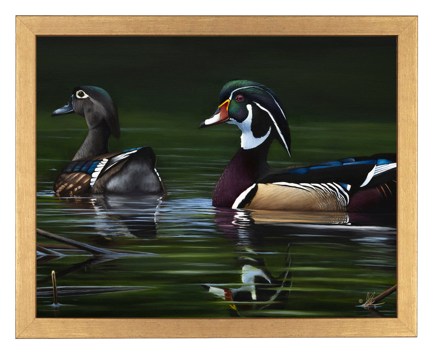 A Day at Bird Haven - Art Prints