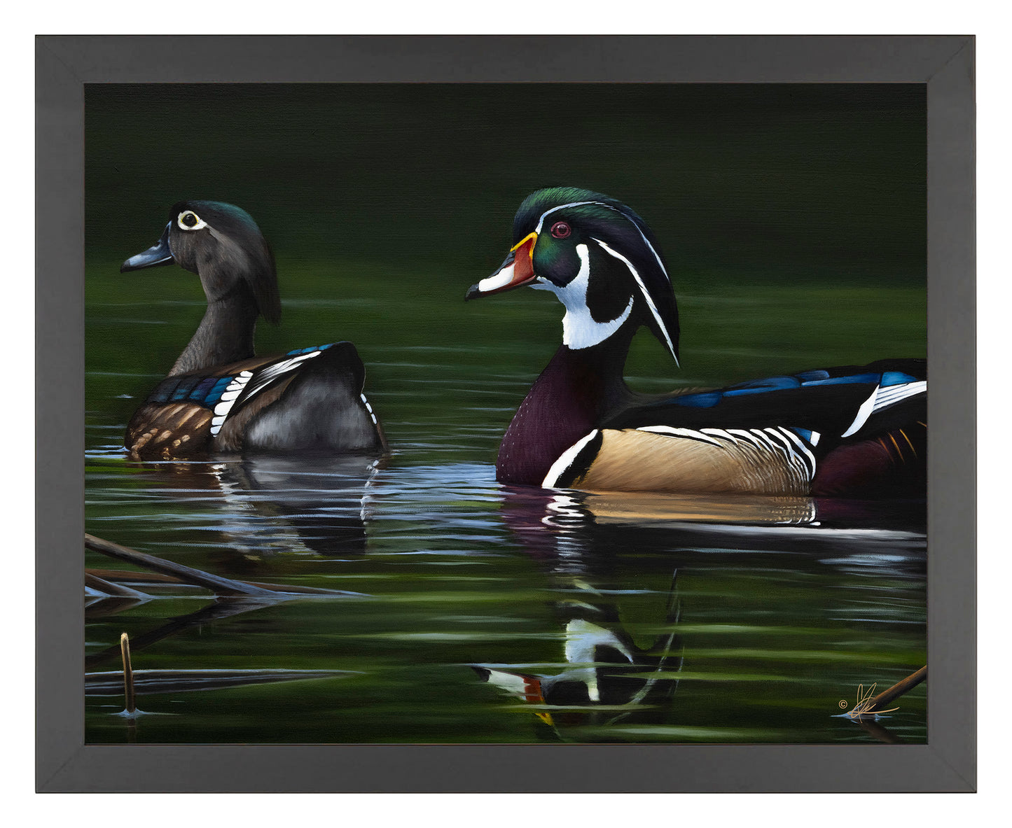 A Day at Bird Haven - Art Prints