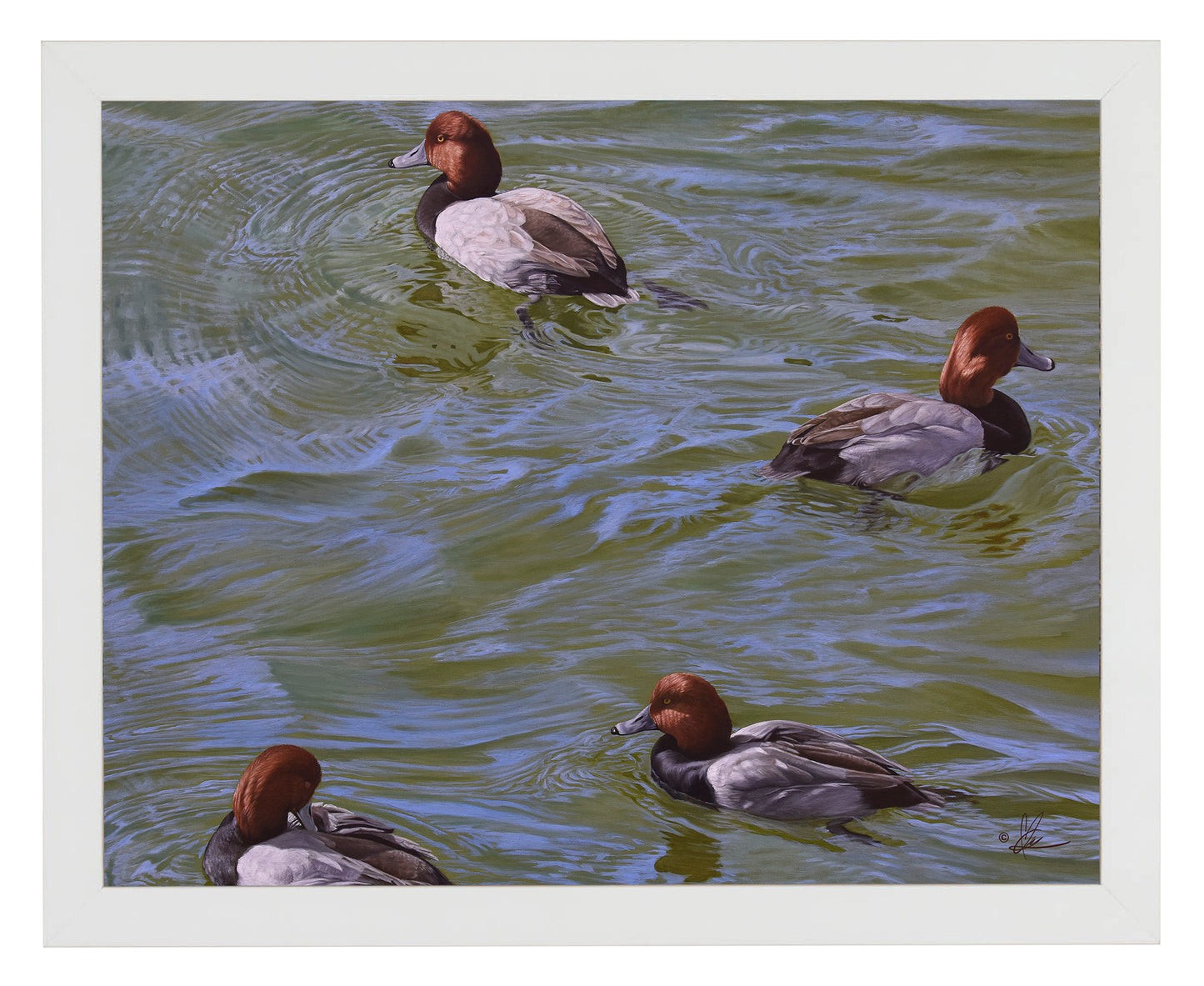 Black and Red on Green - Art Prints