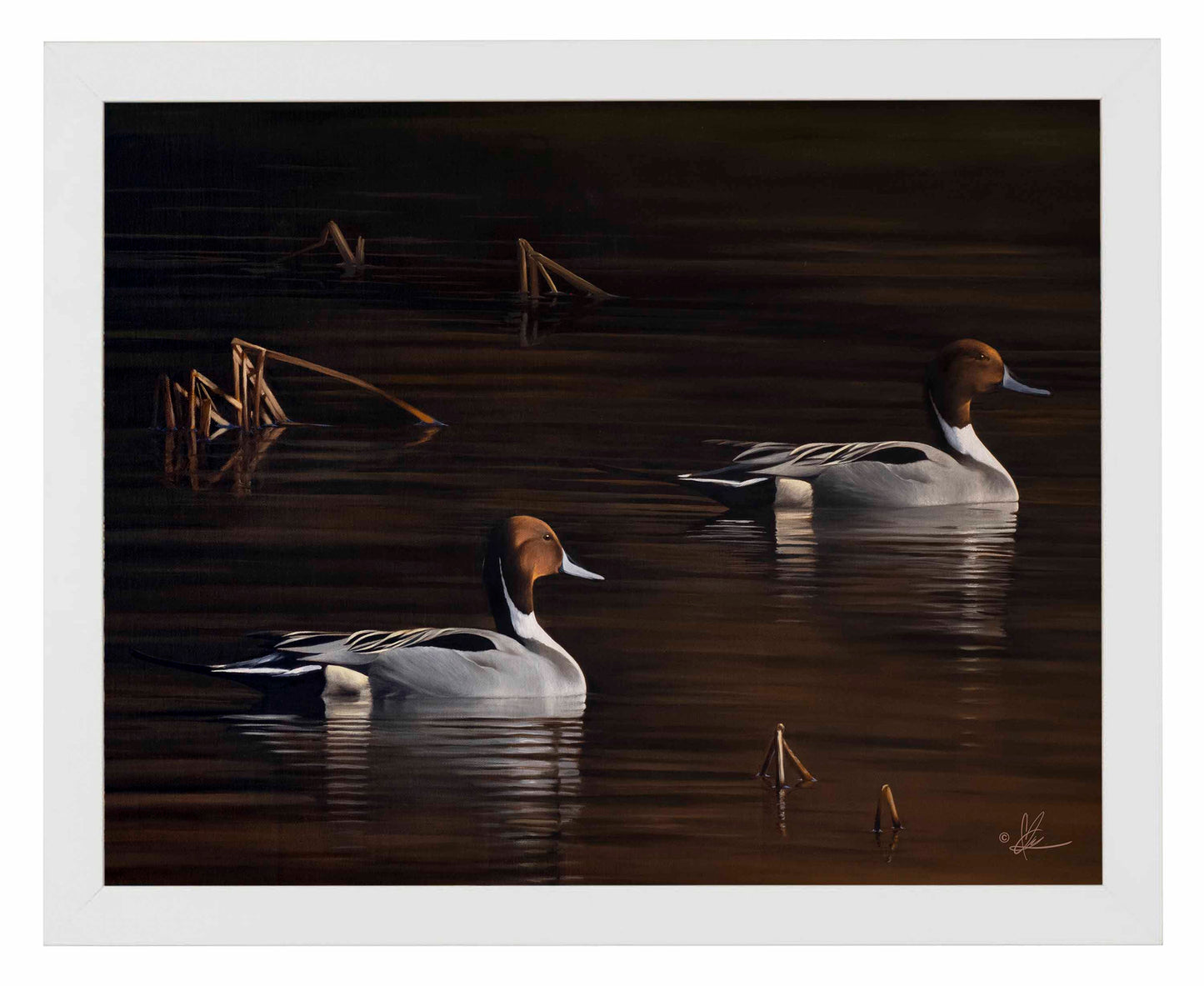 Chasing the Setting Sun - Art Prints