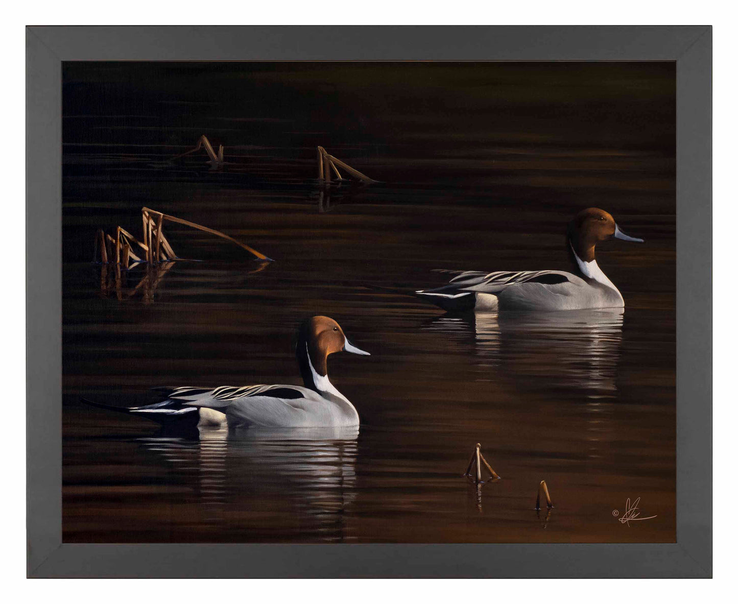 Chasing the Setting Sun - Art Prints