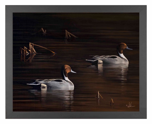 Chasing the Setting Sun - Art Prints
