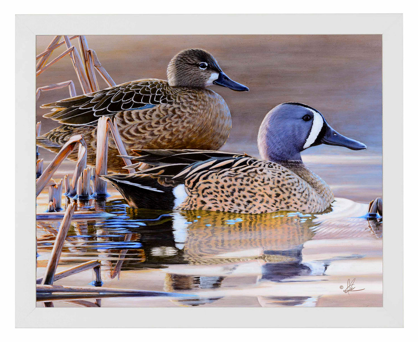 Early Morning Blues - Art Prints