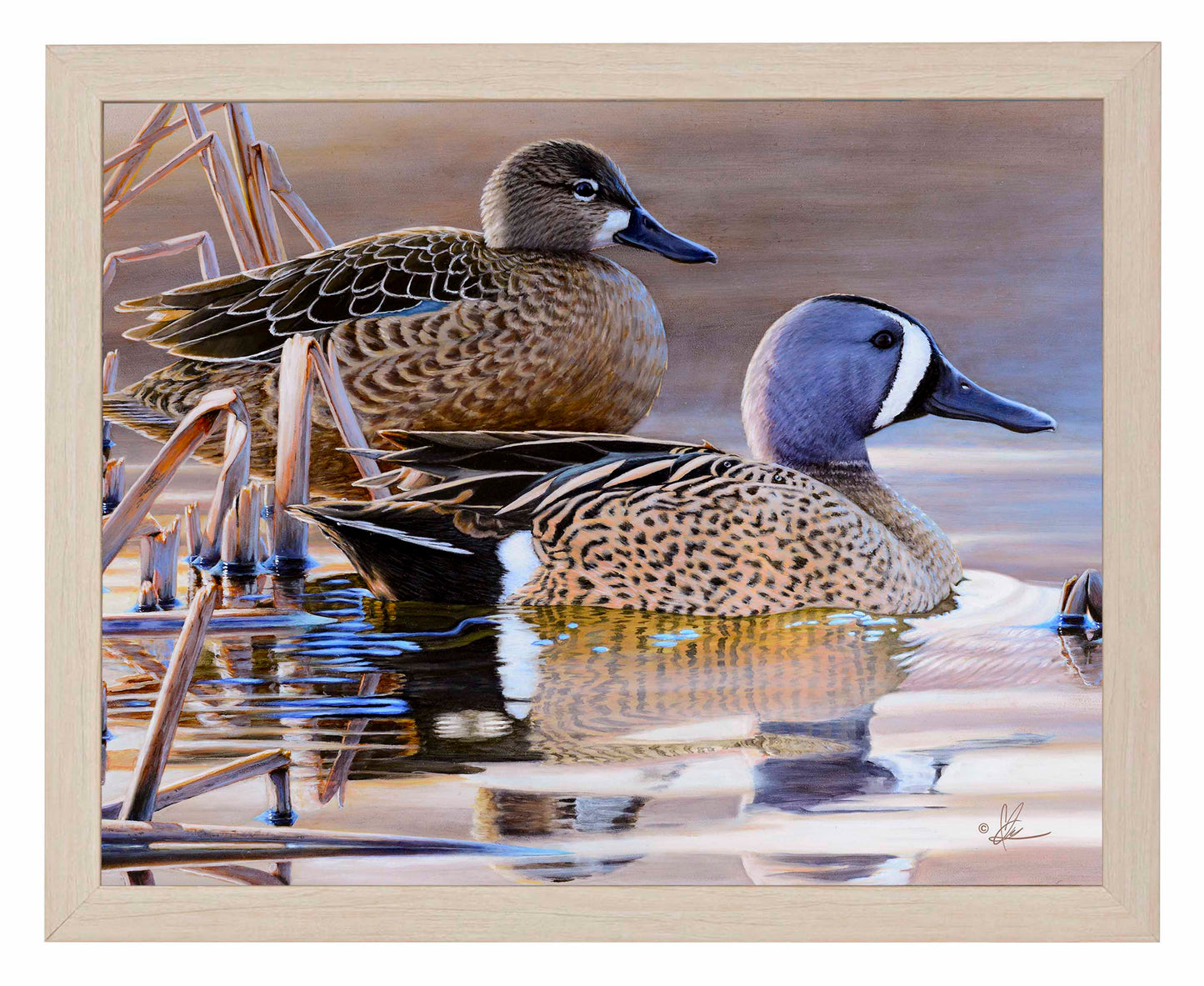 Early Morning Blues - Art Prints