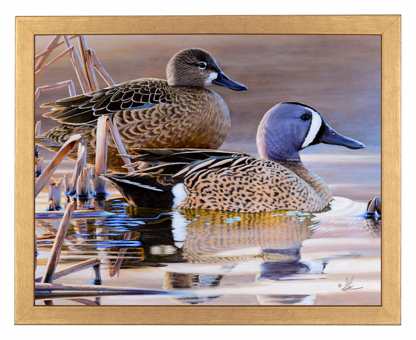 Early Morning Blues - Art Prints