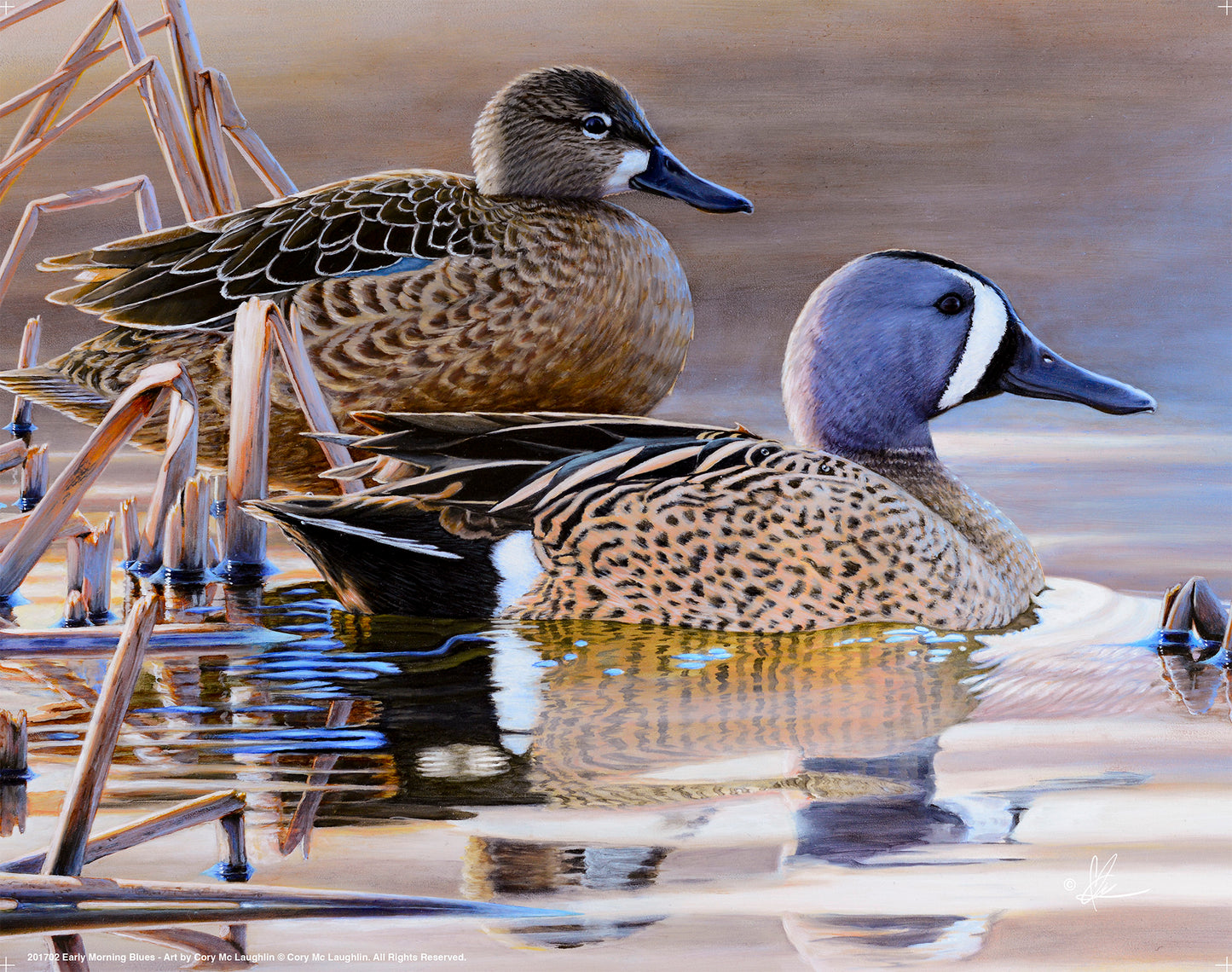 Early Morning Blues - Art Prints