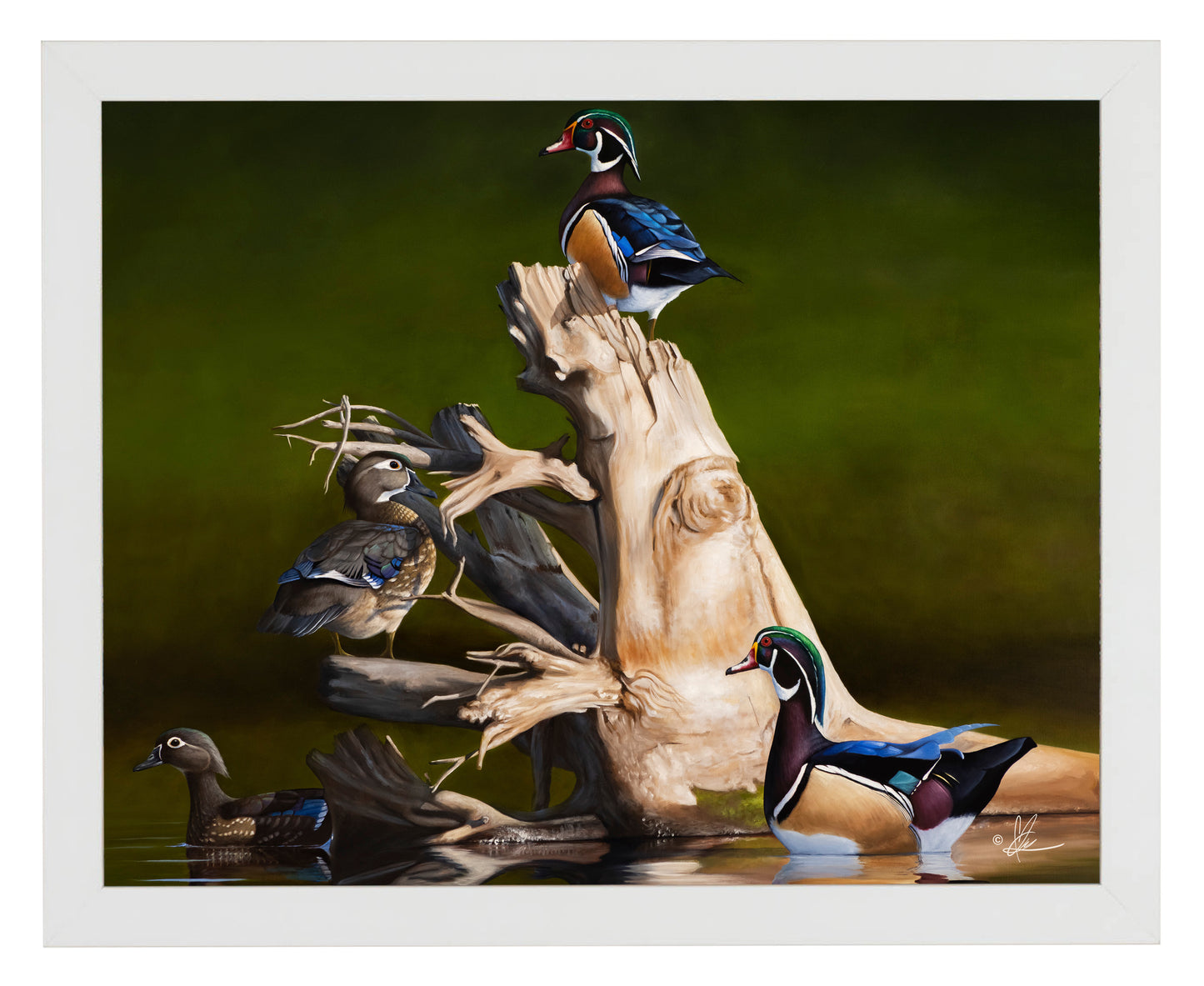 When the Water was Low -  Art Prints
