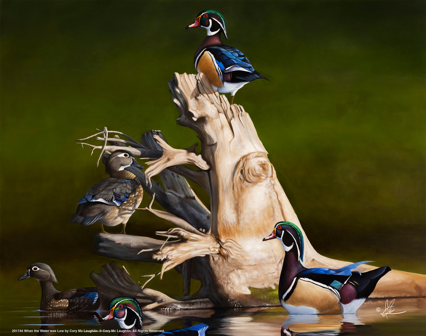 When the Water was Low -  Art Prints