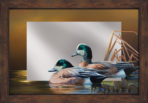 American Wigeon - 16" x 24" Mirror Framed Barnwood