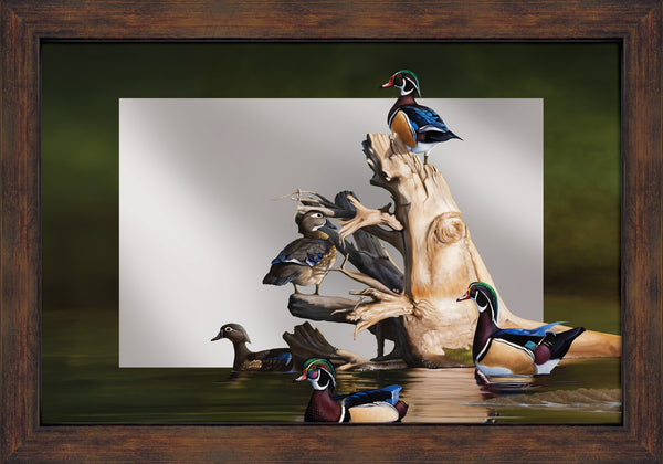 When the Water was Low - 24" x 16" Mirror Framed Barnwood