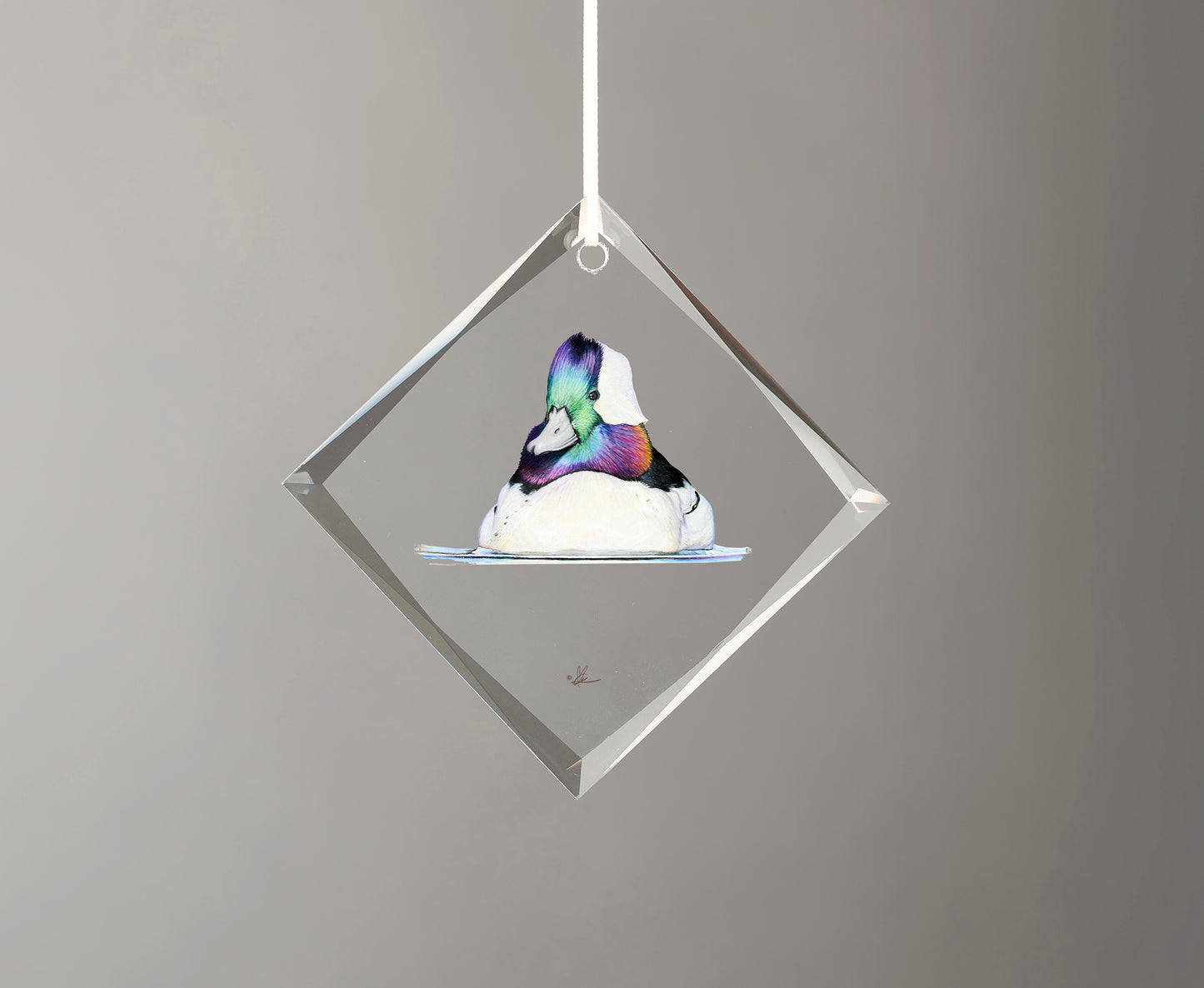 Bufflehead Study - Diamond Glass Ornament