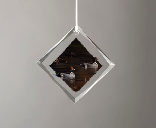 Chasing the Setting Sun - Diamond Glass Ornament