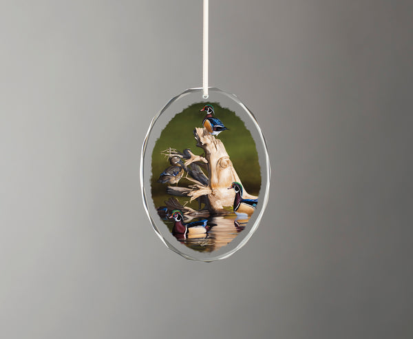 When the Water was Low - Oval Glass Ornament