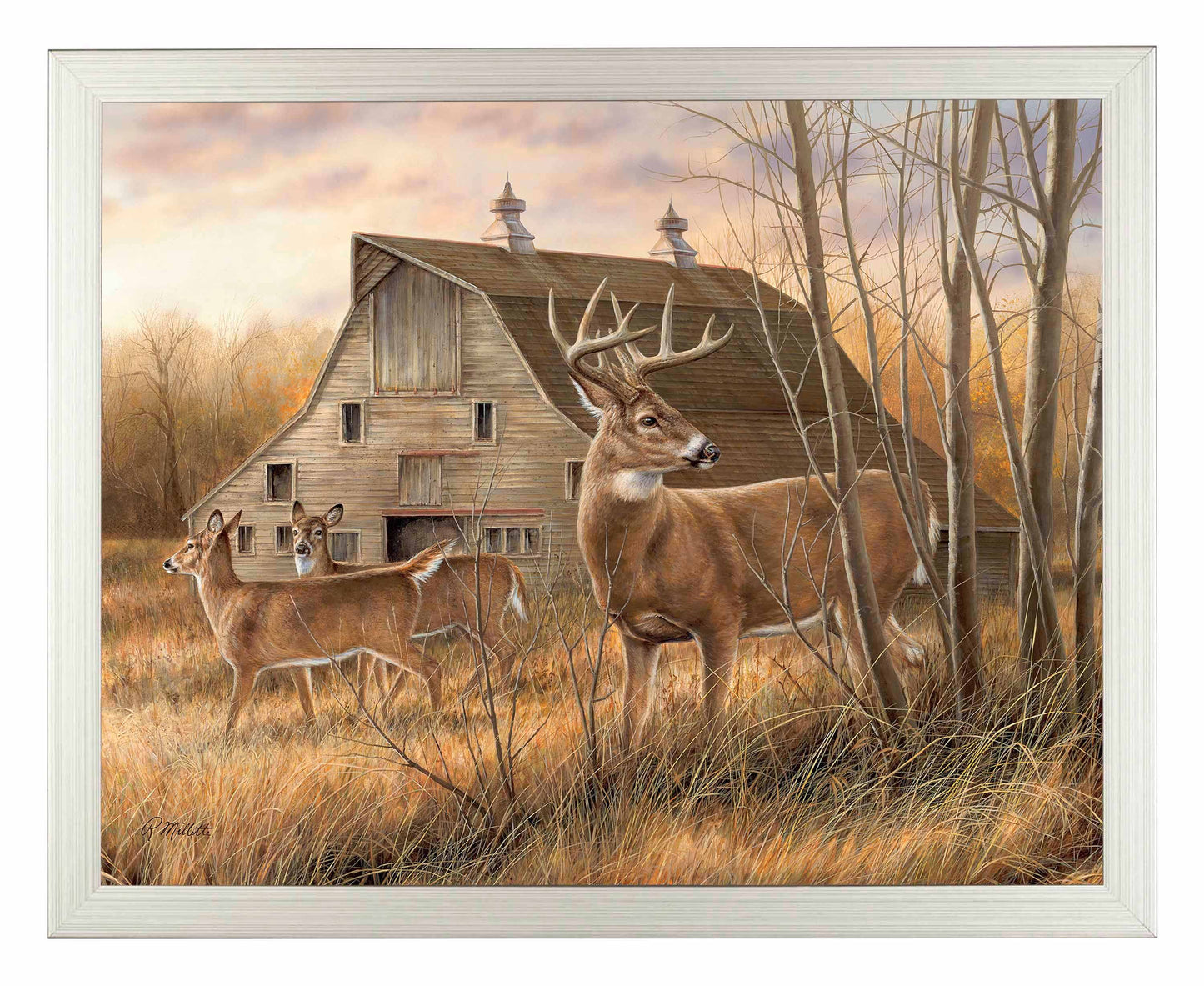 Deserted Farmstead - Whitetail Deer - Art Prints
