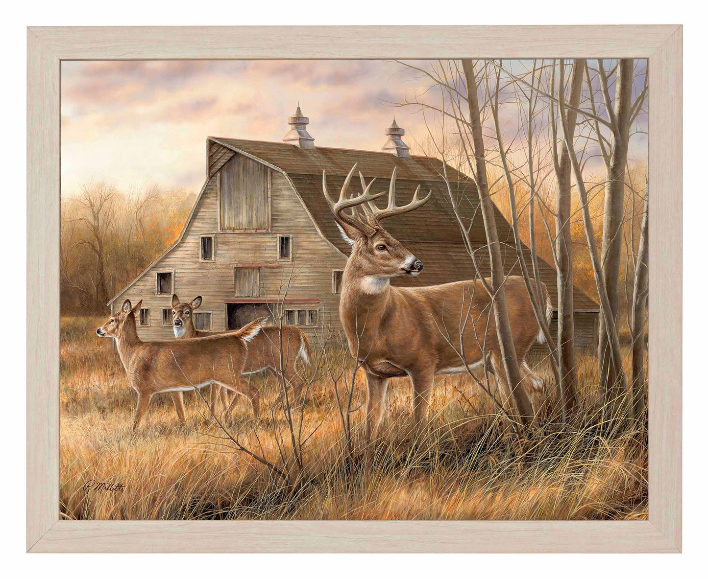 Deserted Farmstead - Whitetail Deer - Art Prints