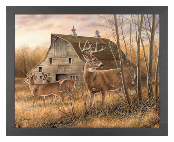 Deserted Farmstead - Whitetail Deer - Art Prints