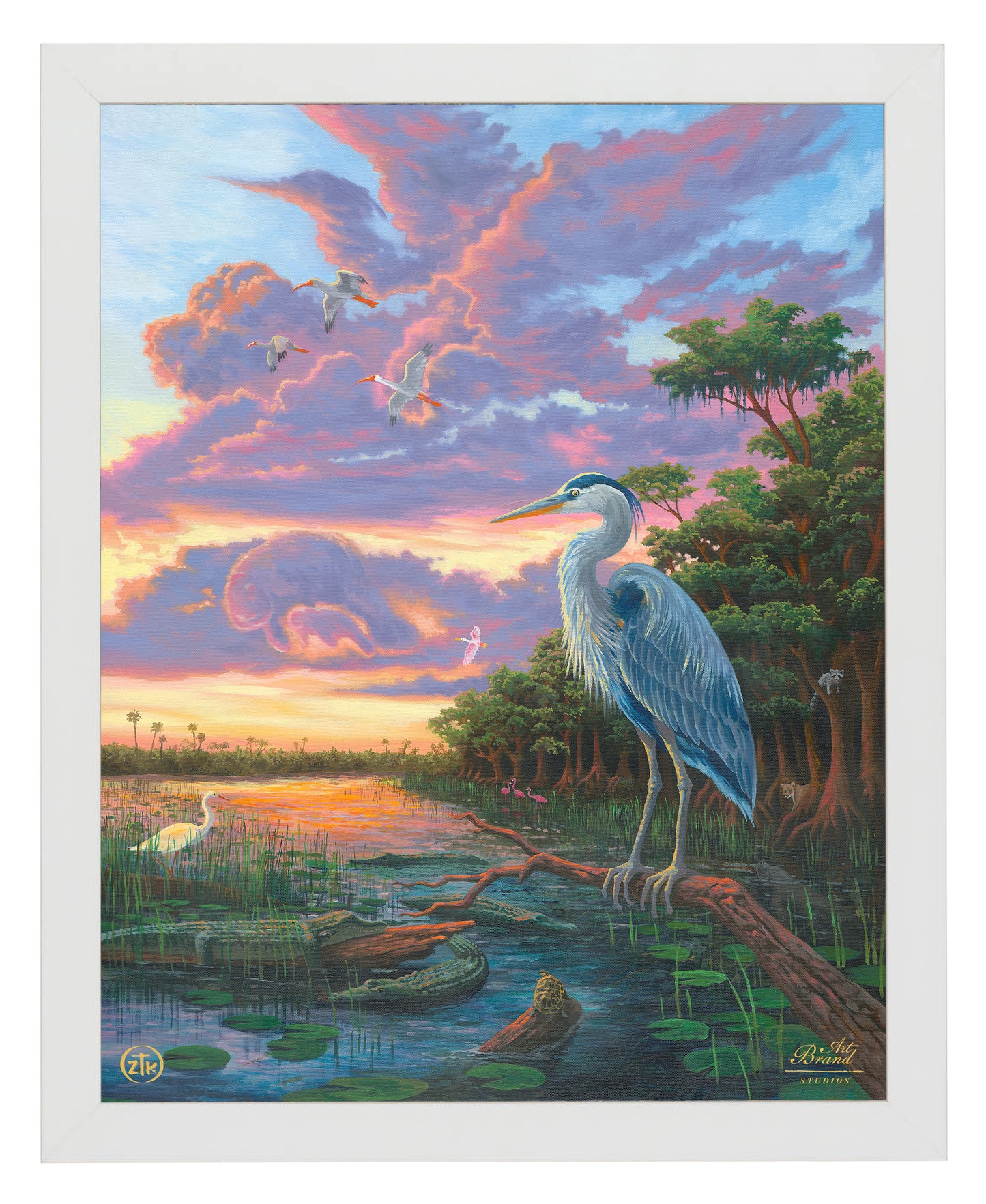 Spirit of Everglades - Art Prints