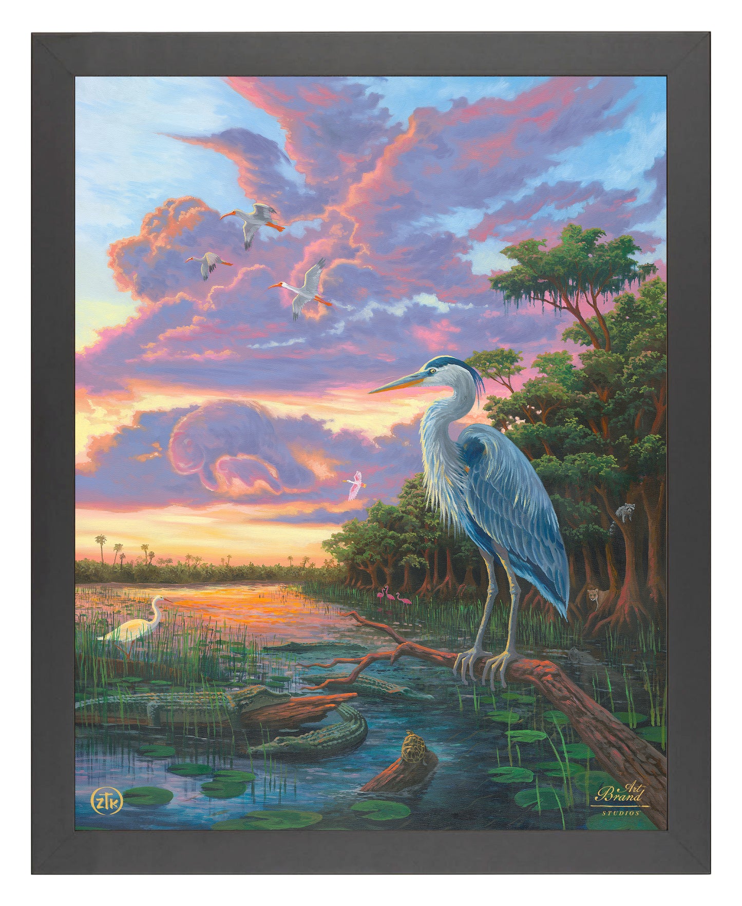Spirit of Everglades - Art Prints
