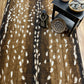Mafaldi Axis Brown - Rug