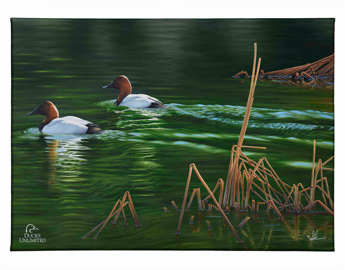 A Beautiful Day Gallery Wrapped Canvas - Official Ducks Unlimited Art