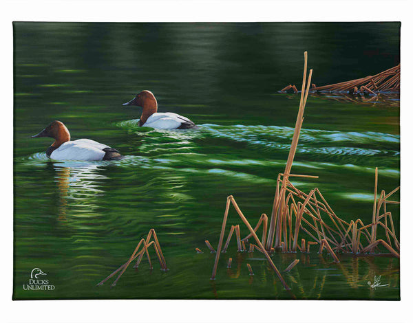 A Beautiful Day Gallery Wrapped Canvas - Official Ducks Unlimited Art